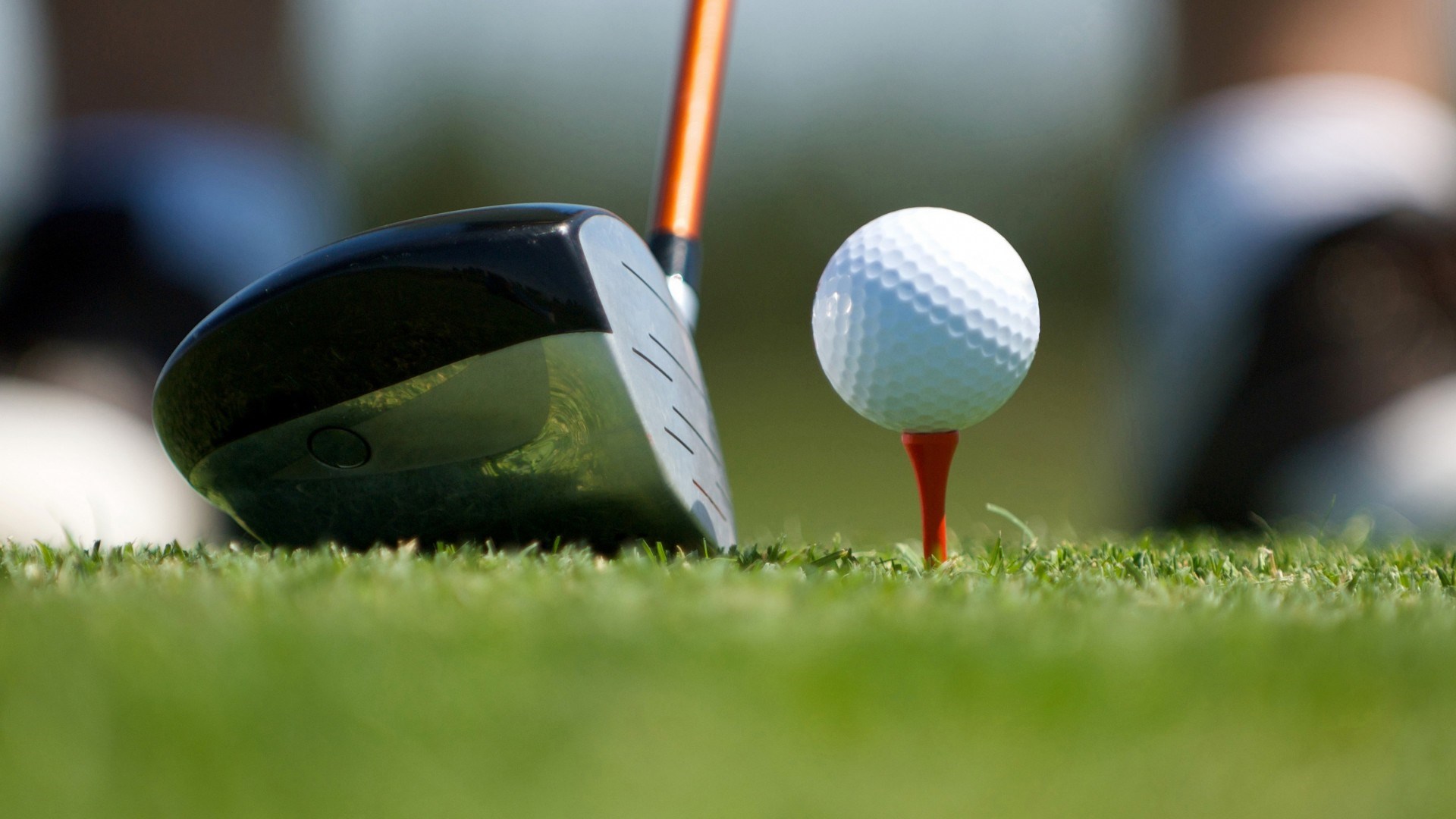 Playing Golf in Ground | HD Wallpapers