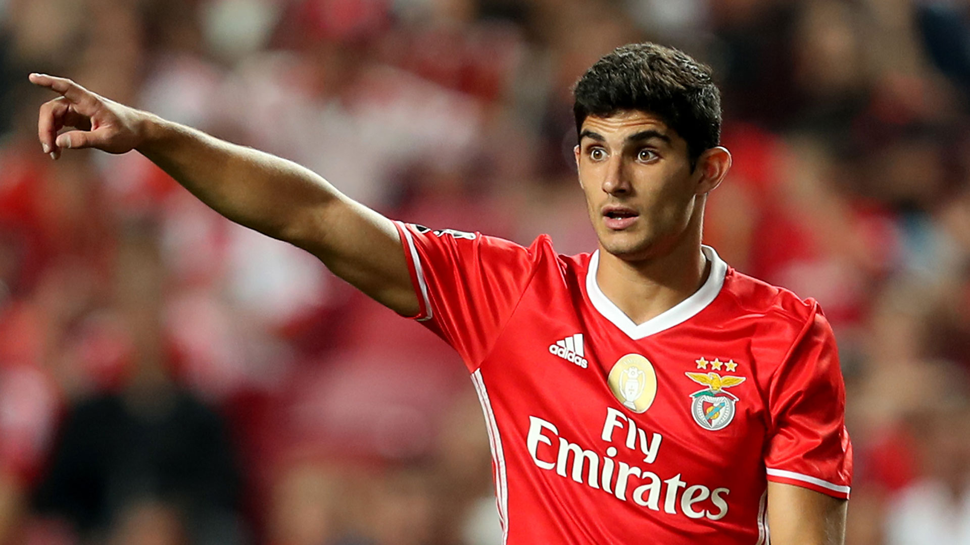 goncalo guedes - photo #5