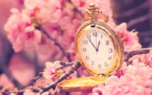 cherry blossom tree wallpapers-old-clock-in-a-blossom-tree-HD-wallpaper