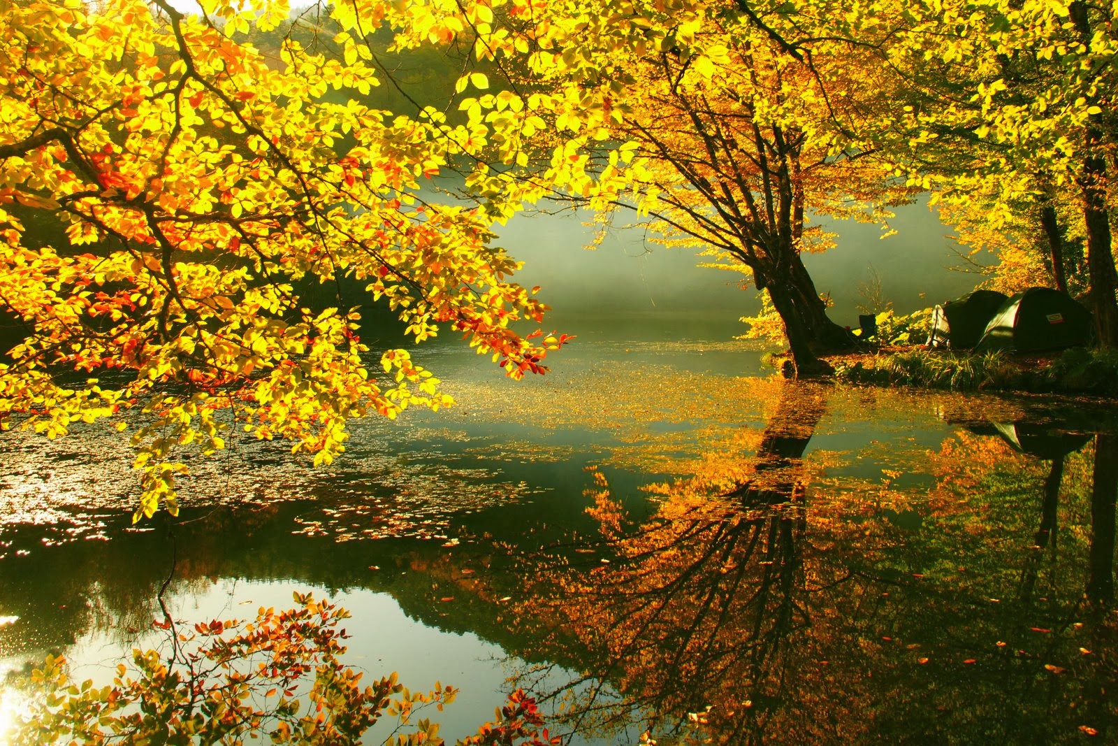 Beautiful-Autumn-background hd