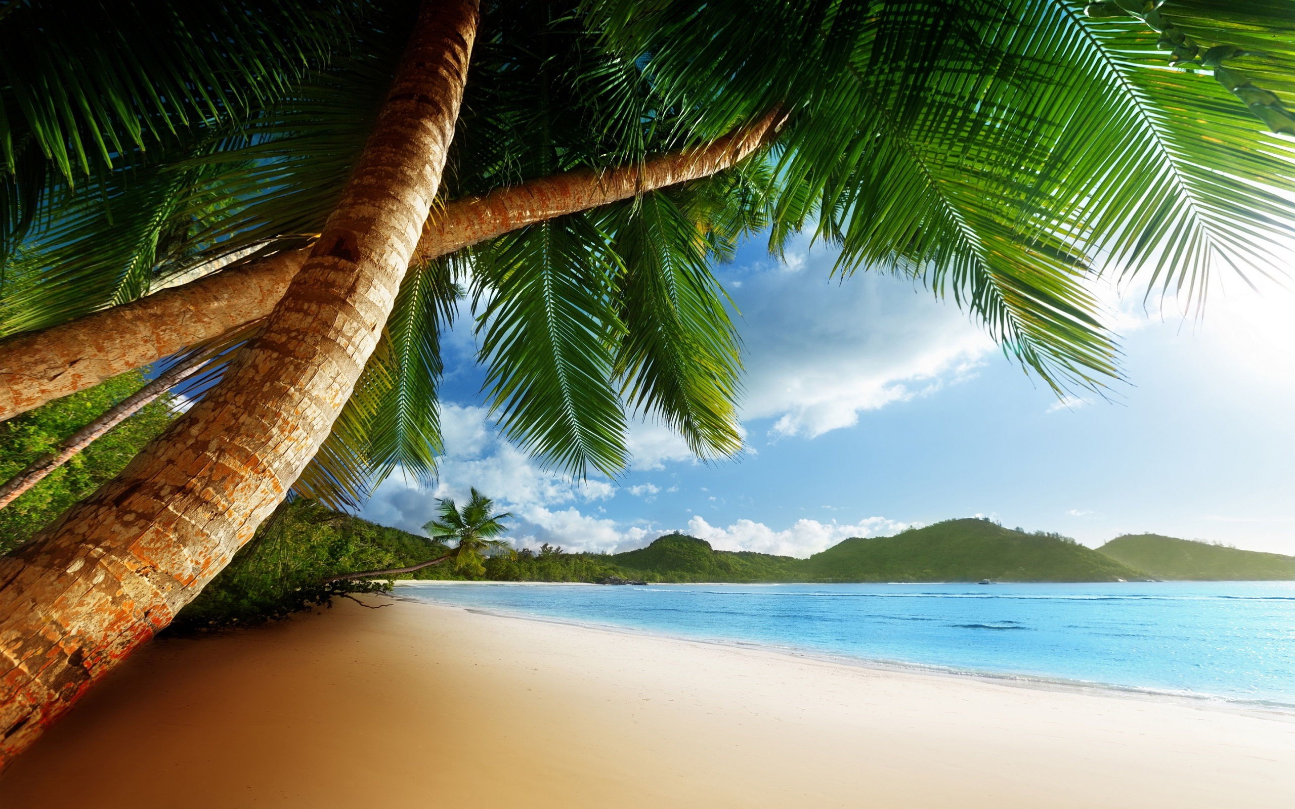 awesome-caribbean-background-pictures-new-best-best background images