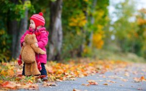 child_bear_toy_autumn_leaves_background images nature