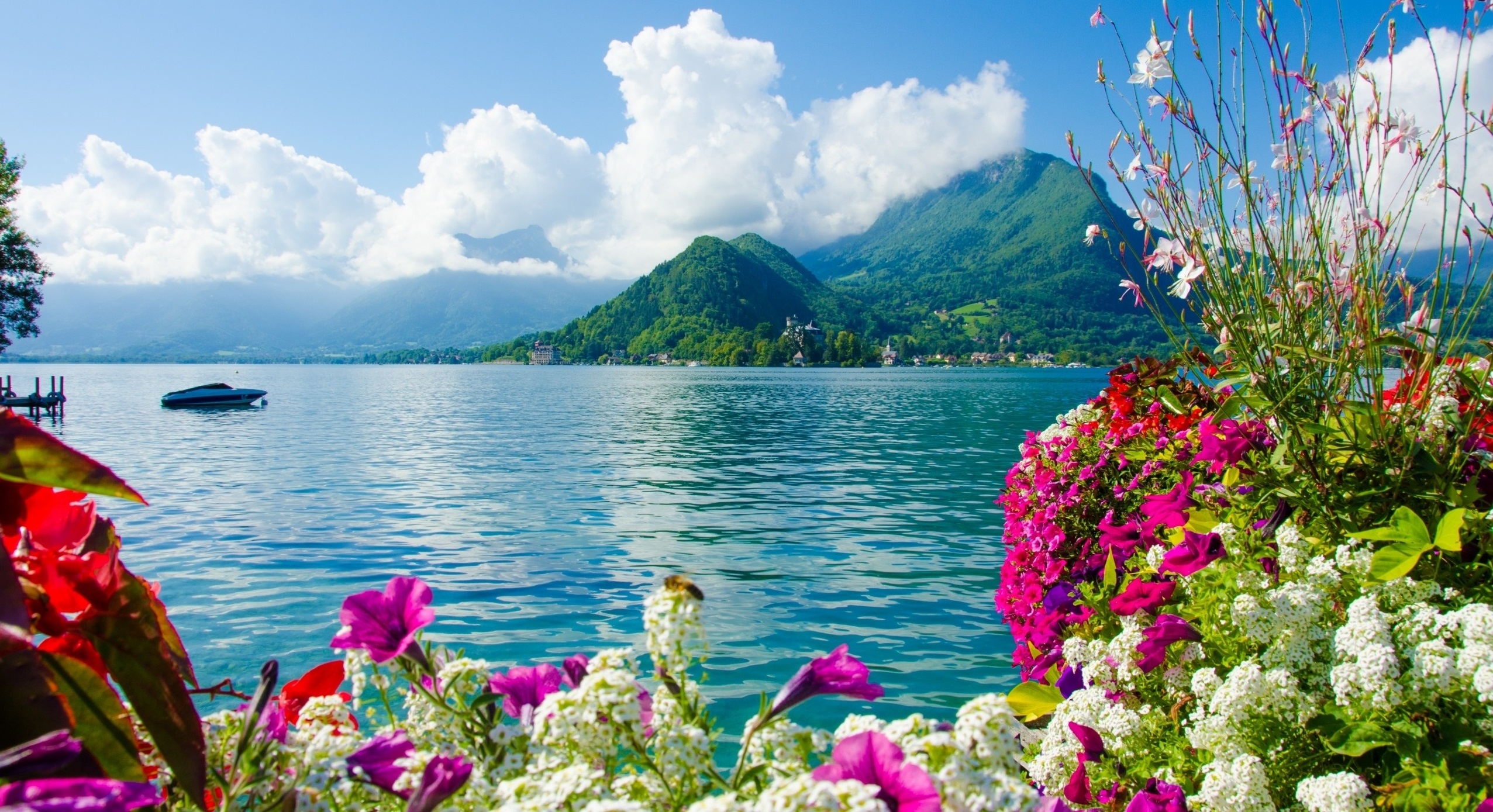 flowers-sea-color-mountains-scenery hd