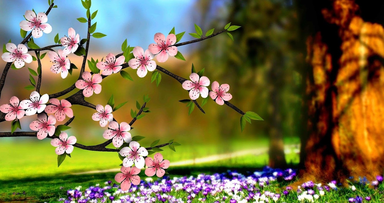 HD Wallpapers Nature Flowers 3d