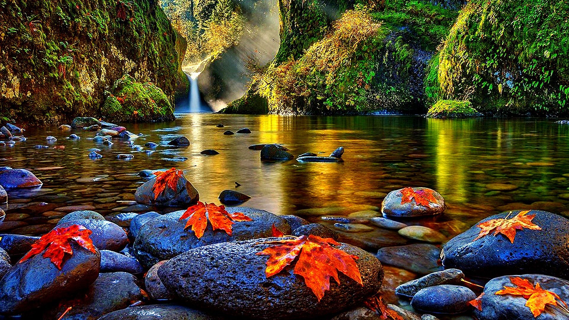 rivers-autumn-leaves-fall-river-stones-waterfall-picture of nature