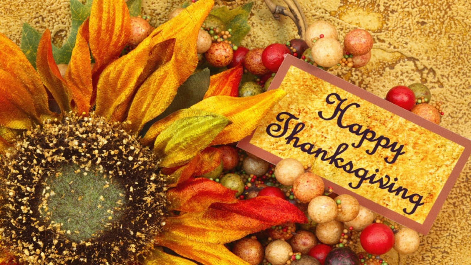 Thanksgiving Day wallpapers hd-9