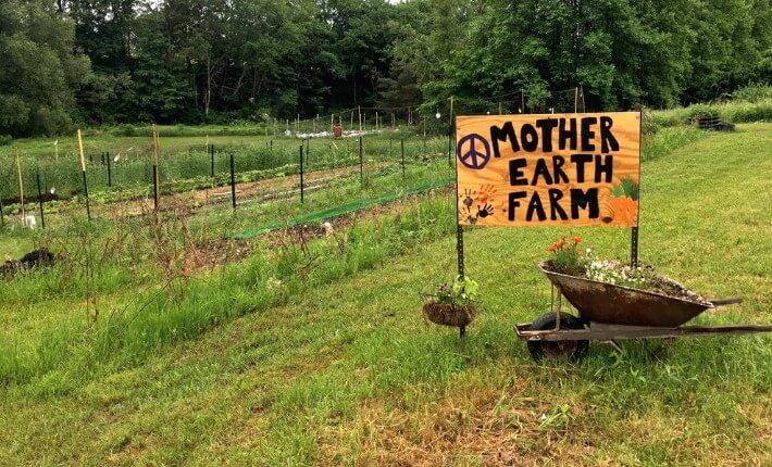 Mother Earth farm