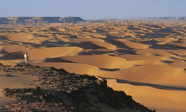 The Sahara Desert Tropical