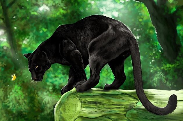 black jaguar_4