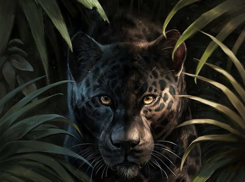 black panther_2